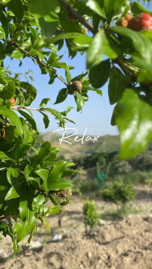 Casa Vacanze Sicilia Casteltermini Kültér fotó